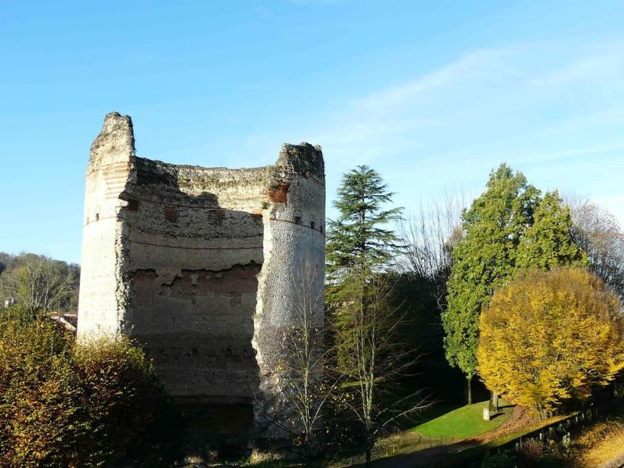 Superbe appartement avec vue sur la tour de Vésone Périgueux Exterior foto